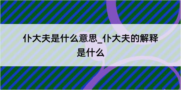 仆大夫是什么意思_仆大夫的解释是什么