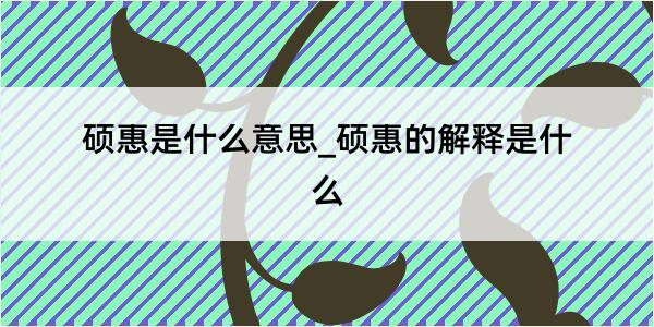 硕惠是什么意思_硕惠的解释是什么