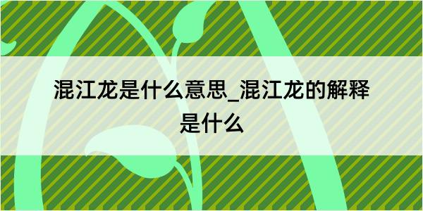 混江龙是什么意思_混江龙的解释是什么