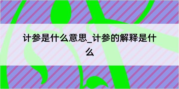 计参是什么意思_计参的解释是什么