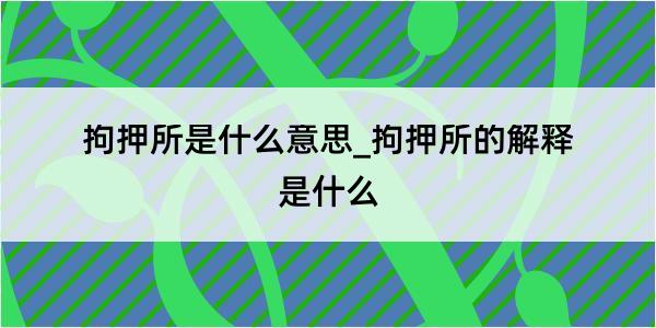 拘押所是什么意思_拘押所的解释是什么