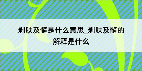 剥肤及髓是什么意思_剥肤及髓的解释是什么