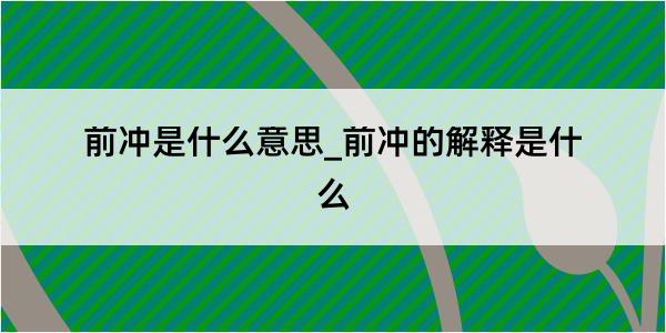 前冲是什么意思_前冲的解释是什么