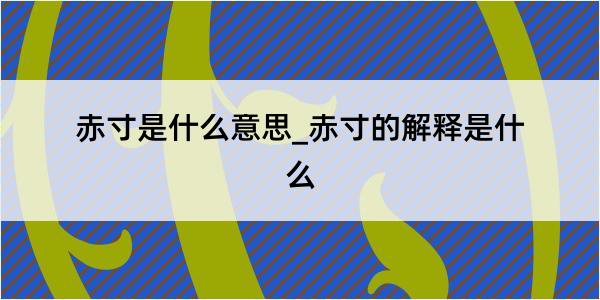 赤寸是什么意思_赤寸的解释是什么