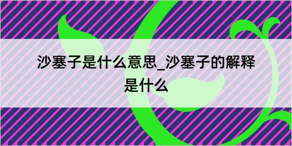 沙塞子是什么意思_沙塞子的解释是什么