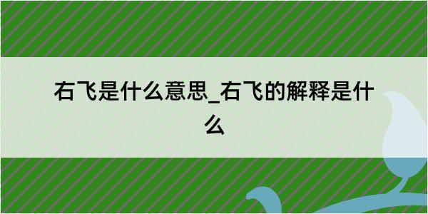 右飞是什么意思_右飞的解释是什么