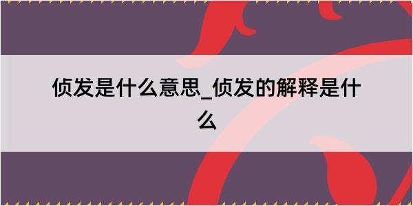 侦发是什么意思_侦发的解释是什么