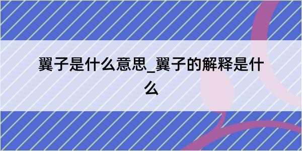 翼子是什么意思_翼子的解释是什么