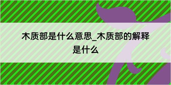 木质部是什么意思_木质部的解释是什么