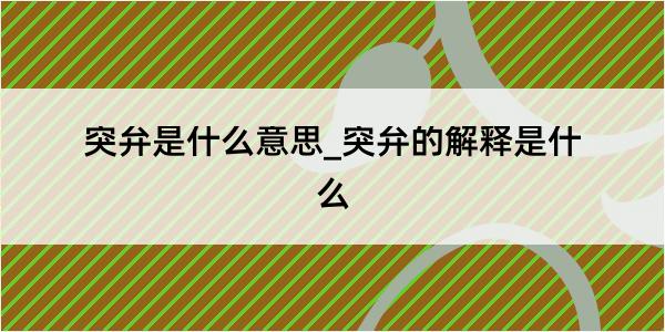 突弁是什么意思_突弁的解释是什么