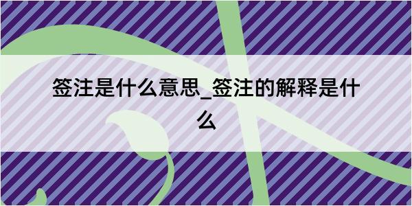 签注是什么意思_签注的解释是什么