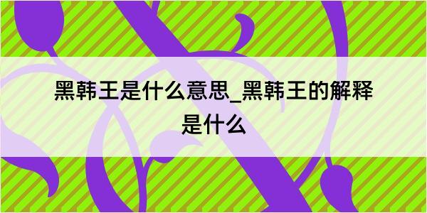 黑韩王是什么意思_黑韩王的解释是什么