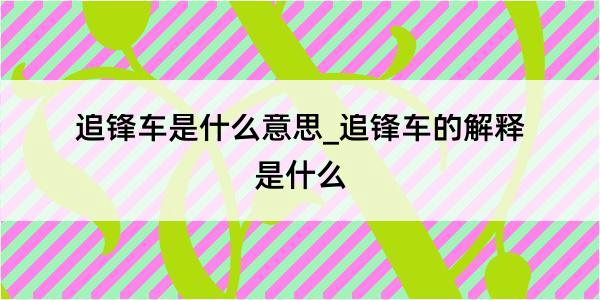 追锋车是什么意思_追锋车的解释是什么