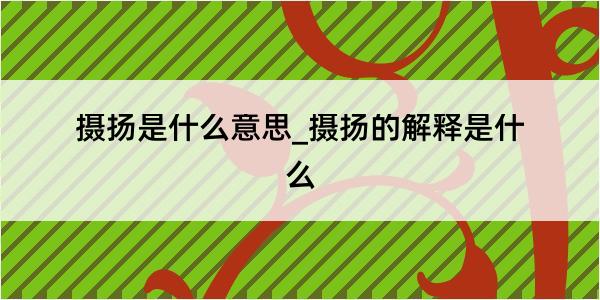 摄扬是什么意思_摄扬的解释是什么