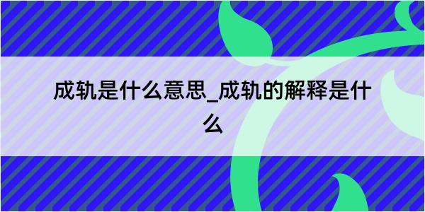 成轨是什么意思_成轨的解释是什么