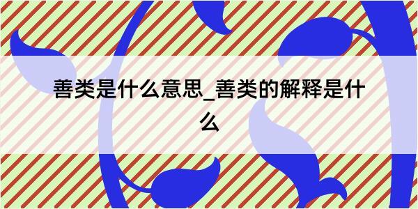 善类是什么意思_善类的解释是什么