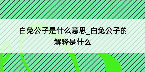 白兔公子是什么意思_白兔公子的解释是什么