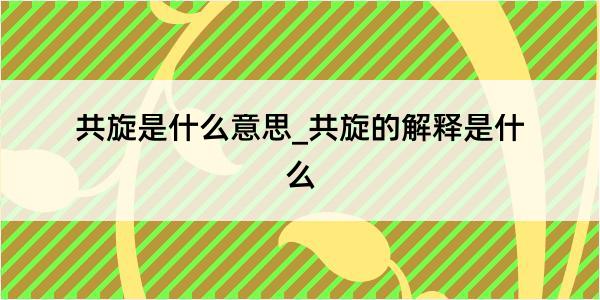 共旋是什么意思_共旋的解释是什么