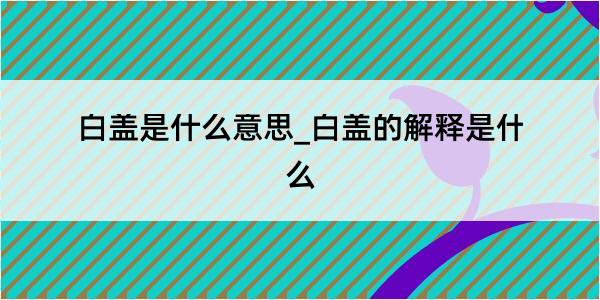 白盖是什么意思_白盖的解释是什么