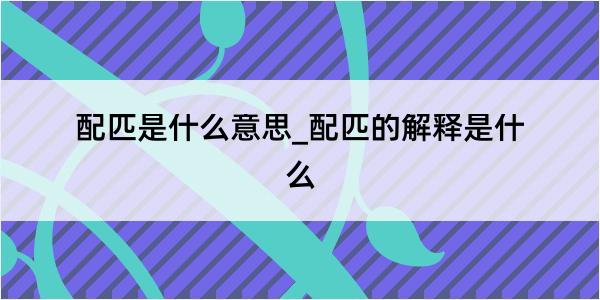 配匹是什么意思_配匹的解释是什么