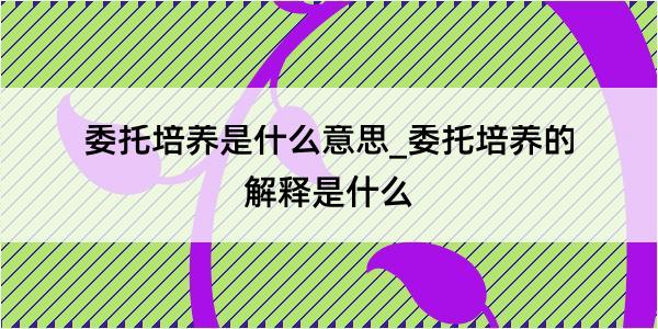 委托培养是什么意思_委托培养的解释是什么