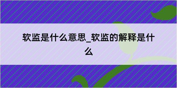 软监是什么意思_软监的解释是什么