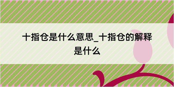 十指仓是什么意思_十指仓的解释是什么