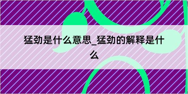 猛劲是什么意思_猛劲的解释是什么