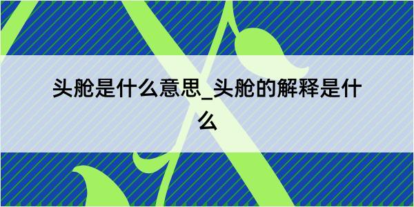 头舱是什么意思_头舱的解释是什么