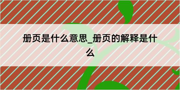 册页是什么意思_册页的解释是什么