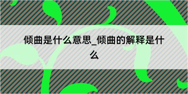 倾曲是什么意思_倾曲的解释是什么