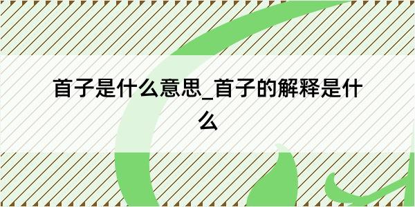 首子是什么意思_首子的解释是什么