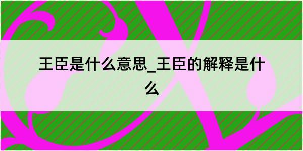 王臣是什么意思_王臣的解释是什么