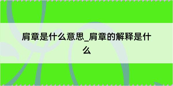 肩章是什么意思_肩章的解释是什么