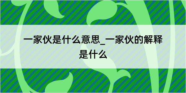 一家伙是什么意思_一家伙的解释是什么