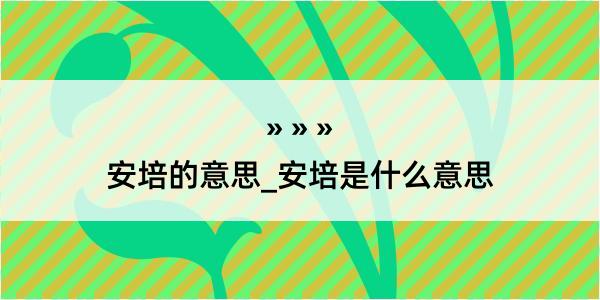 安培的意思_安培是什么意思