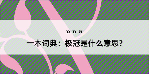 一本词典：极冠是什么意思？