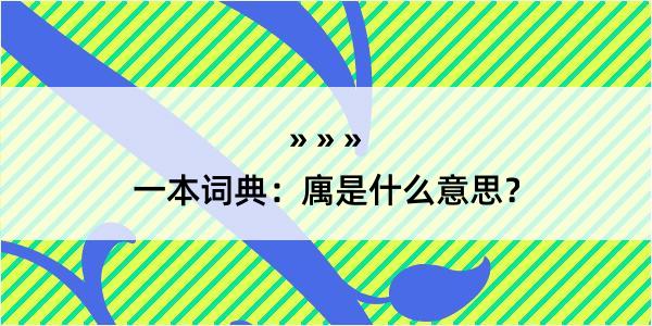 一本词典：庽是什么意思？