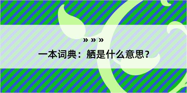 一本词典：舾是什么意思？