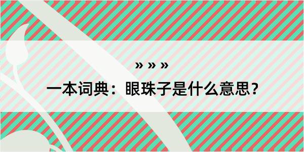 一本词典：眼珠子是什么意思？