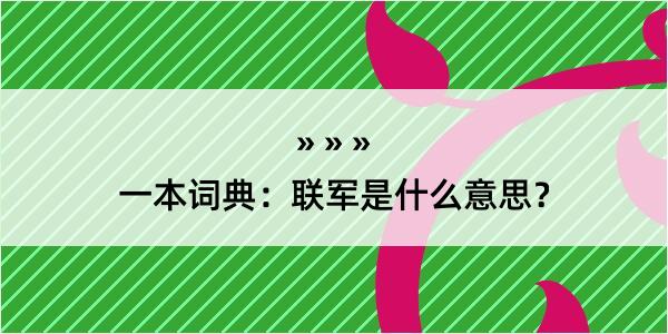 一本词典：联军是什么意思？