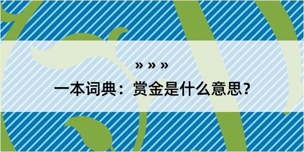 一本词典：赏金是什么意思？