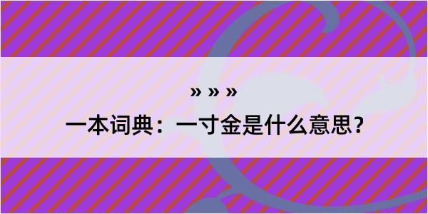 一本词典：一寸金是什么意思？