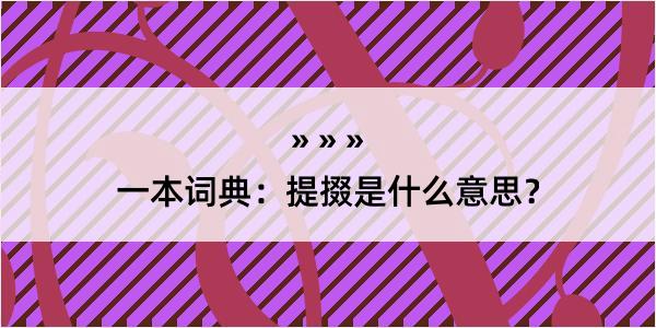 一本词典：提掇是什么意思？