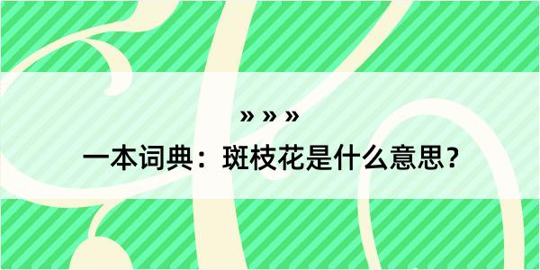 一本词典：斑枝花是什么意思？