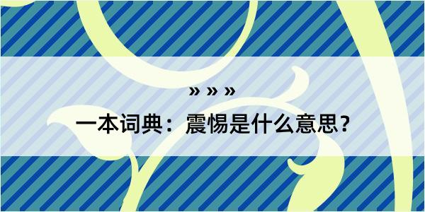 一本词典：震惕是什么意思？