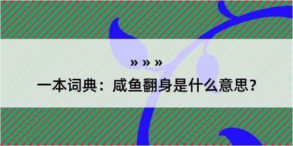 一本词典：咸鱼翻身是什么意思？