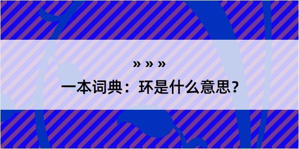 一本词典：环是什么意思？