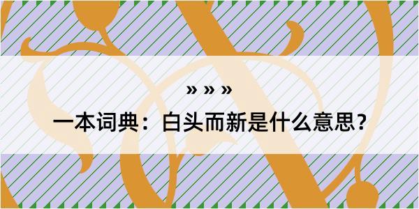 一本词典：白头而新是什么意思？