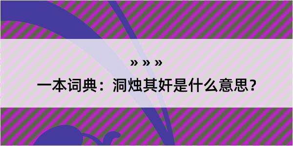 一本词典：洞烛其奸是什么意思？